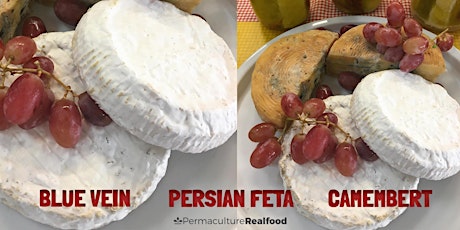 NEW Cheesemaking + Sourdough+ Fermented Foods Workshops - Cairns tickets