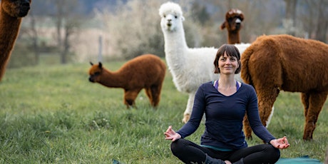 Hauptbild für Alpaka Yoga im Seeland