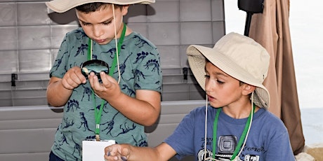 Family Activity: Be an Archaeologist...Can you dig it?! tickets