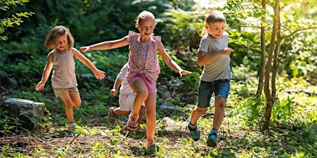 Imagen principal de Waldläufer:innen im Grundschulalter