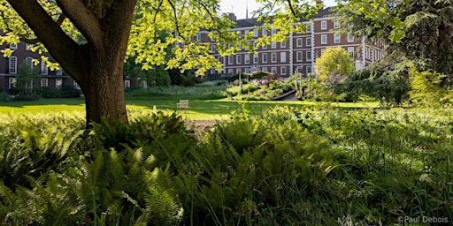Meditation and Mindfulness in London's Secret Garden