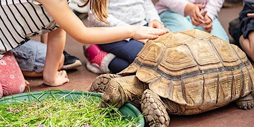 Burpee Museum's 2022 Summer Day Camp: Zoology & Animal Behavior