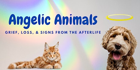 Angelic Animals: Grief, Loss, & Signs from the Afterlife