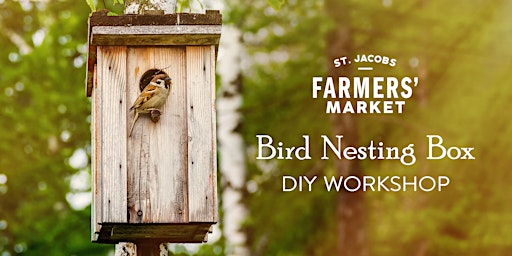 DIY Workshop: Bird Nesting Box