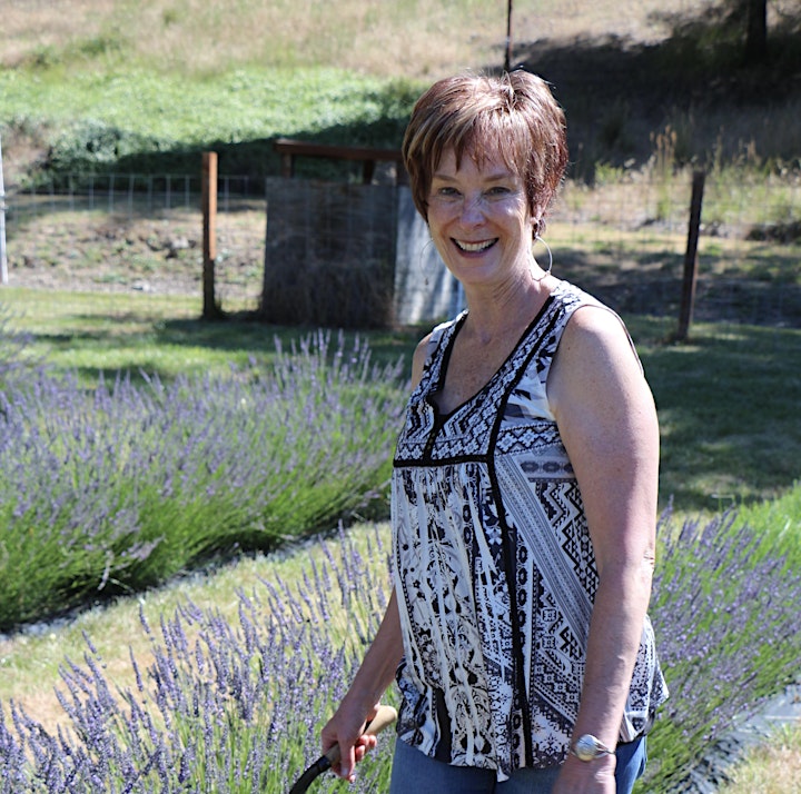 Lavender Care and Harvesting image