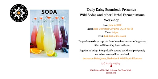 Wild Sodas and other Herbal Fermentations with Daisy