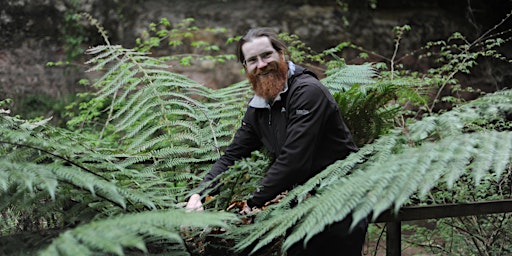 Learn how to forage wildfoods at Dalkeith Country Park