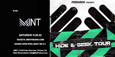 Mint w/ Peekaboo Hide & Seek Tour