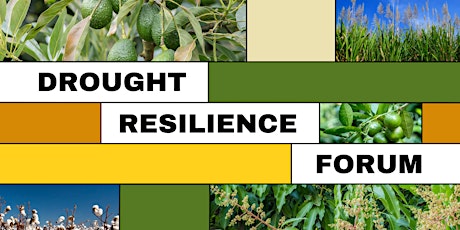 Dimbulah Drought Resilience Forum