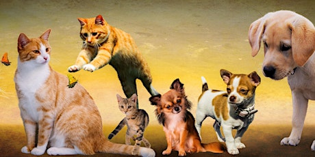 SAFE - Animal Rescue in Sydney - Its Raining Cats & Dogs tickets