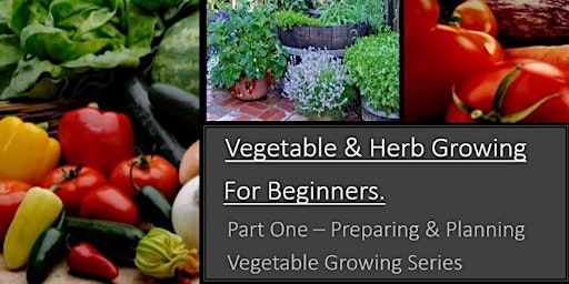 Vegetable & Herb Growing for Beginners -  Part One
