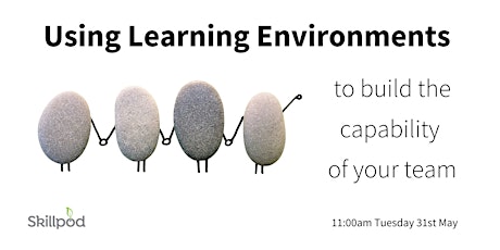 Using Learning Environments to build the capability of your team primary image