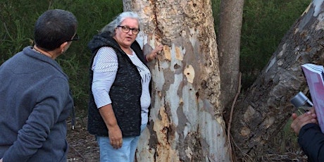 Reconciliation Week - Connecting with community, country and nature tickets