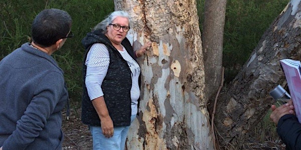 Reconciliation Week - Connecting with community, country and nature