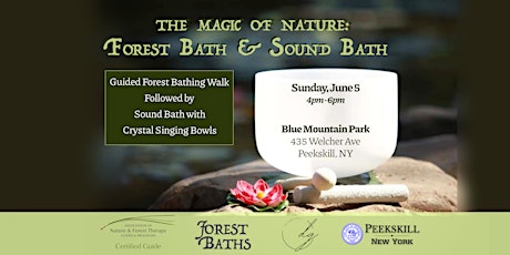 The Magic of Nature: Forest Bath & Sound Bath