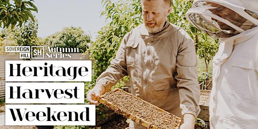 Secret Life of Bees: Getting Started in Beekeeping