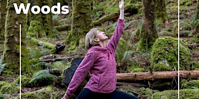 Qi Gong in the woods