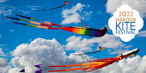 Harden Kite Festival 2022
