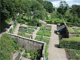 Scotland's Gardens Scheme- PLANT SALE AT LEITH HALL