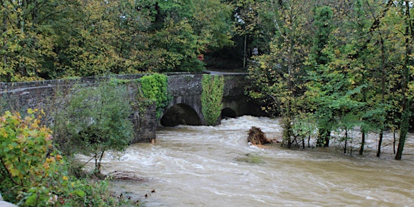 UK Flood Hydrology Roadmap – Next Steps