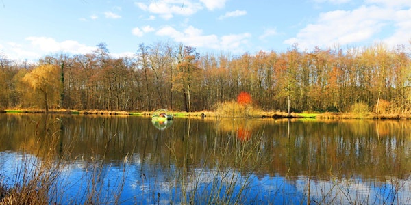 Mo,06.06.22 Wanderdate Singlewandern 4 Seen Tour Gross-Gerau für 30-49J
