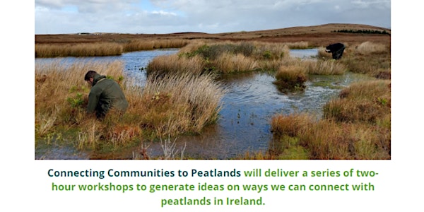 Ideas Generation Workshops for Peatland Communities in the Midlands
