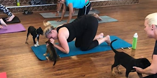 DNYP - Yoga Paws & Pints at Garden State Beer!