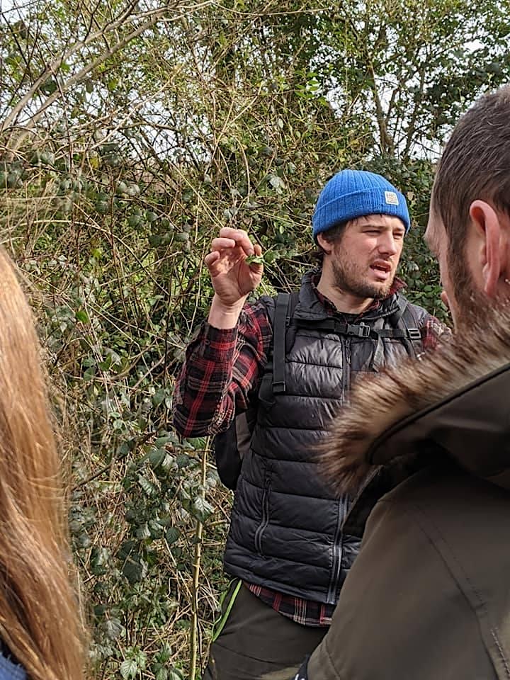 Introduction to Winter Foraging - Foraging Workshop and Walk at Arley Hall image