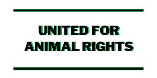 Animals Rights Run