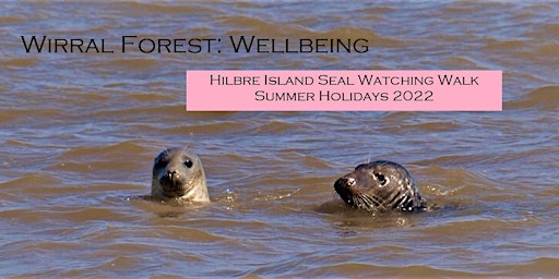 Seal Watching Hilbre Island (Summer holidays) 2022