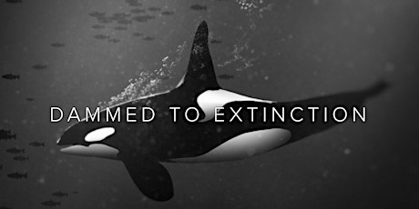 Dammed to Extinction Documentary Screening: Saving Southern Resident Orcas tickets