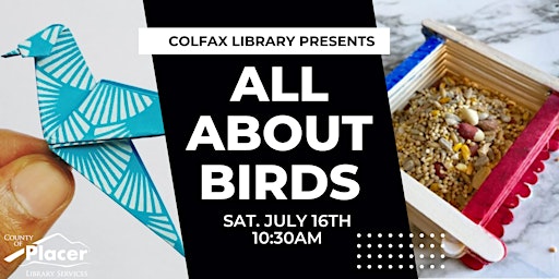 All About Birds at the Colfax Library