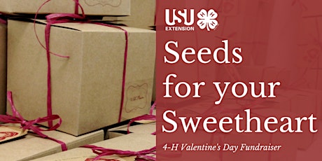 2017 Seeds For Your Sweetheart 4-H Valentine's Day Fundraiser primary image