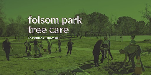Folsom Park Tree Care