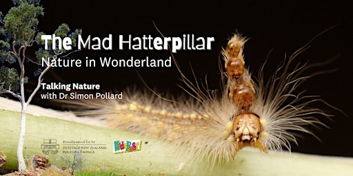 The Mad Hatterpillar, Nature in Wonderland - Kidsfest