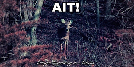 AIT! + Martin Bladh primary image