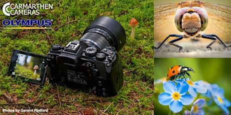 Macro and Wildlife Photography at Dinefwr Park w/ Olympus (Geraint Radford) tickets