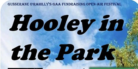 Hooley In the Park tickets