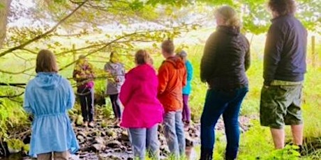 Nature Connection Training- 4 Sessions tickets