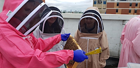 Beekeeping Experience at the East London Mosque