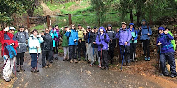 Weekend Walks for Women: The Yurrebilla Trail Stage 1 Hike 26th June