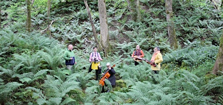 BeWILDer  - join us on an immersive, music-led, woodland walk. tickets