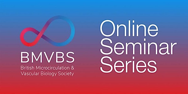 Online Seminar Series - How to Get Published