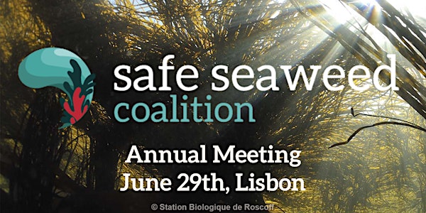 Safe Seaweed Coalition Annual Meeting (virtual)