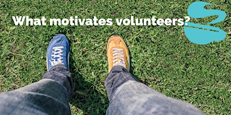 What motivates volunteers? 