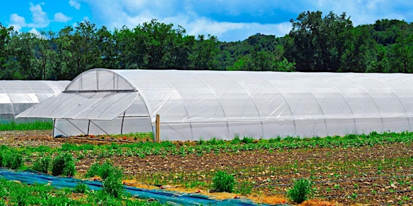 Introduction to High Tunnel Farming