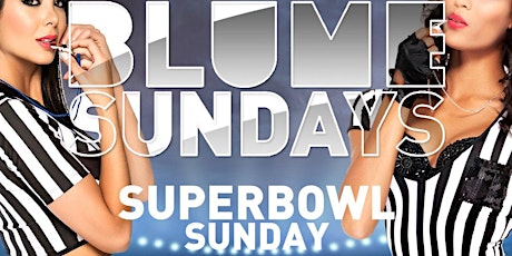 Ultimate VIP Experience in Miami! Super Bowl Afterparty at Blume Sundays