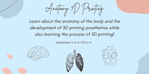 Anatomy 3D Printing Part 2