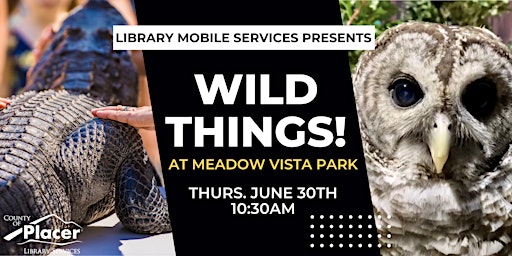 Wild Things at Meadow Vista Park