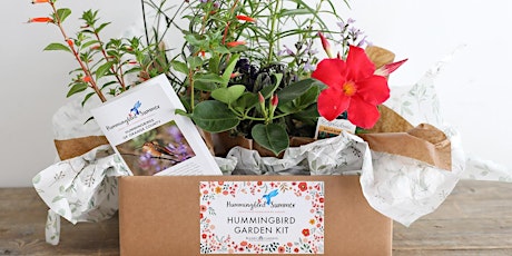 LIVE STREAM: Roger’s Gardens Hummingbird Kit with Suzanne Tickets